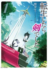 I Was a Sword When I Reincarnated (WN)